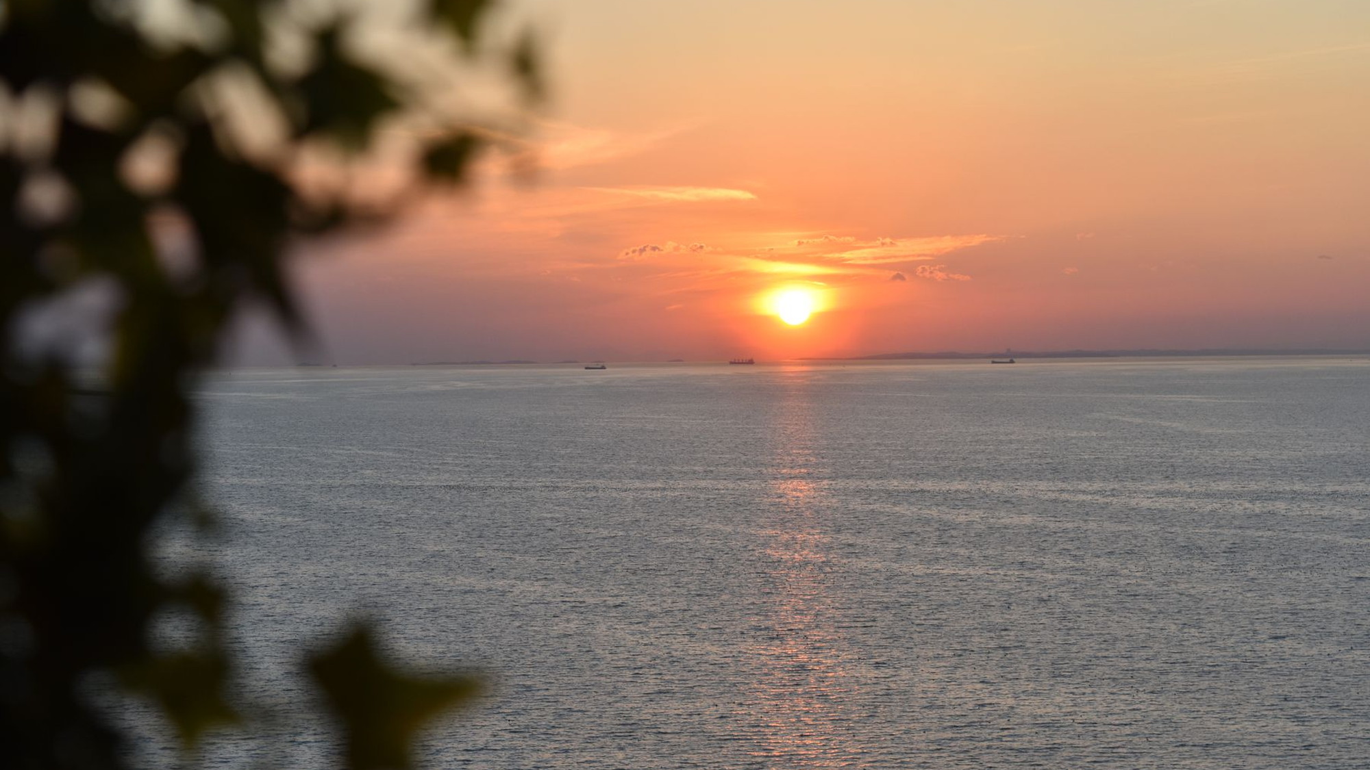 10階から望む夕日