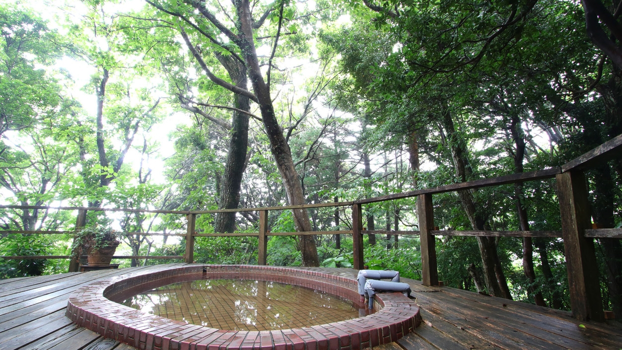 【年末年始限定】2連泊からののんびり旅♪美味しい手作り料理と天然温泉貸切露天風呂を満喫★