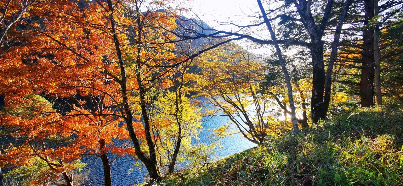 【素泊まり】塩沢温泉七峰館自慢の美肌の湯堪能旅