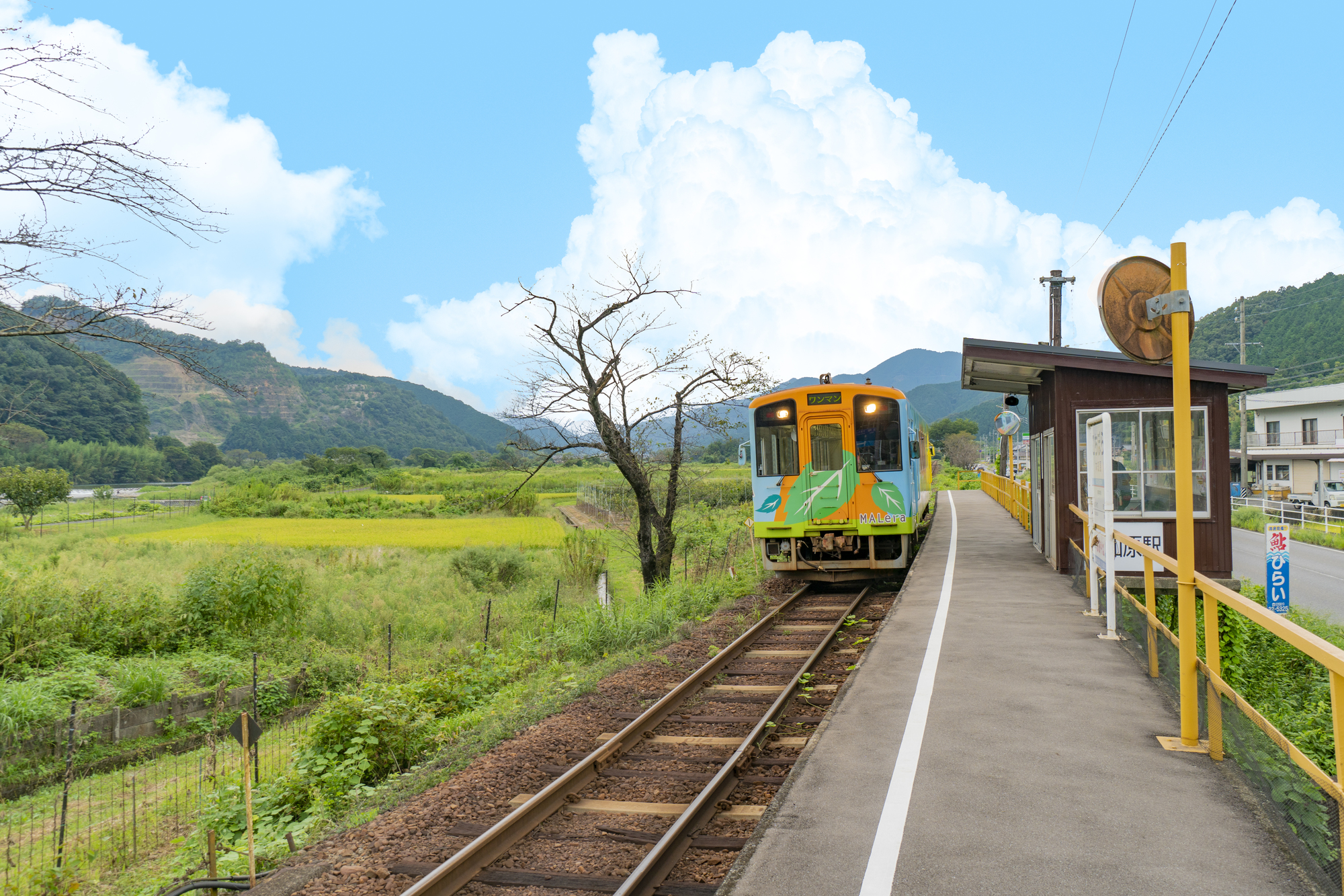 樽見鉄道