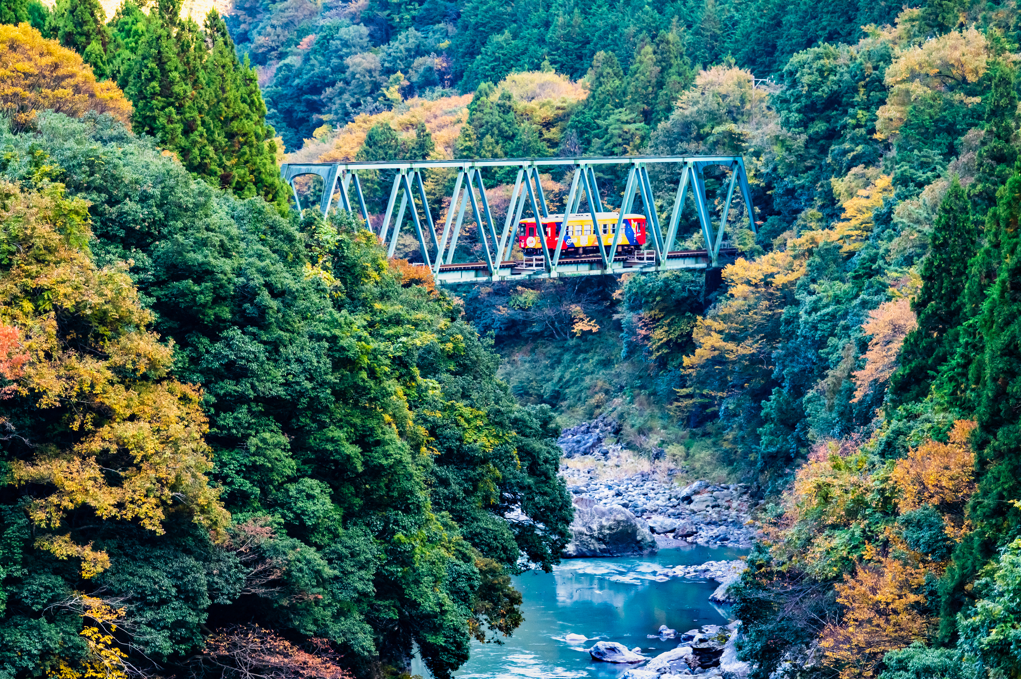 樽見鉄道　～第六根尾川橋梁を渡る列車～