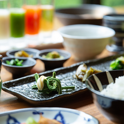 【1泊朝食】日本三大薬湯松之山温泉と和朝食を楽しむ！1泊朝食プラン（夕食なし）