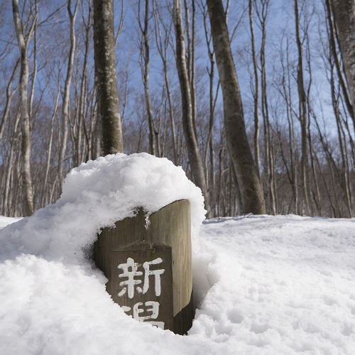 【雪景色】美人林の看板が隠れるほどの豪雪は、まるで別世界！