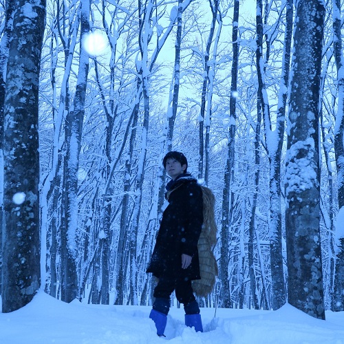 【スノーシュー体験】美人林でスノーシュー♪