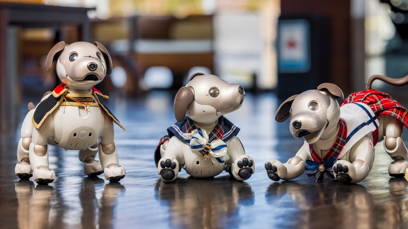 【卒業旅行★ファミリー限定】家族団らん♪記念写真＆お祝い特典付＜1泊２食／流星の膳＞