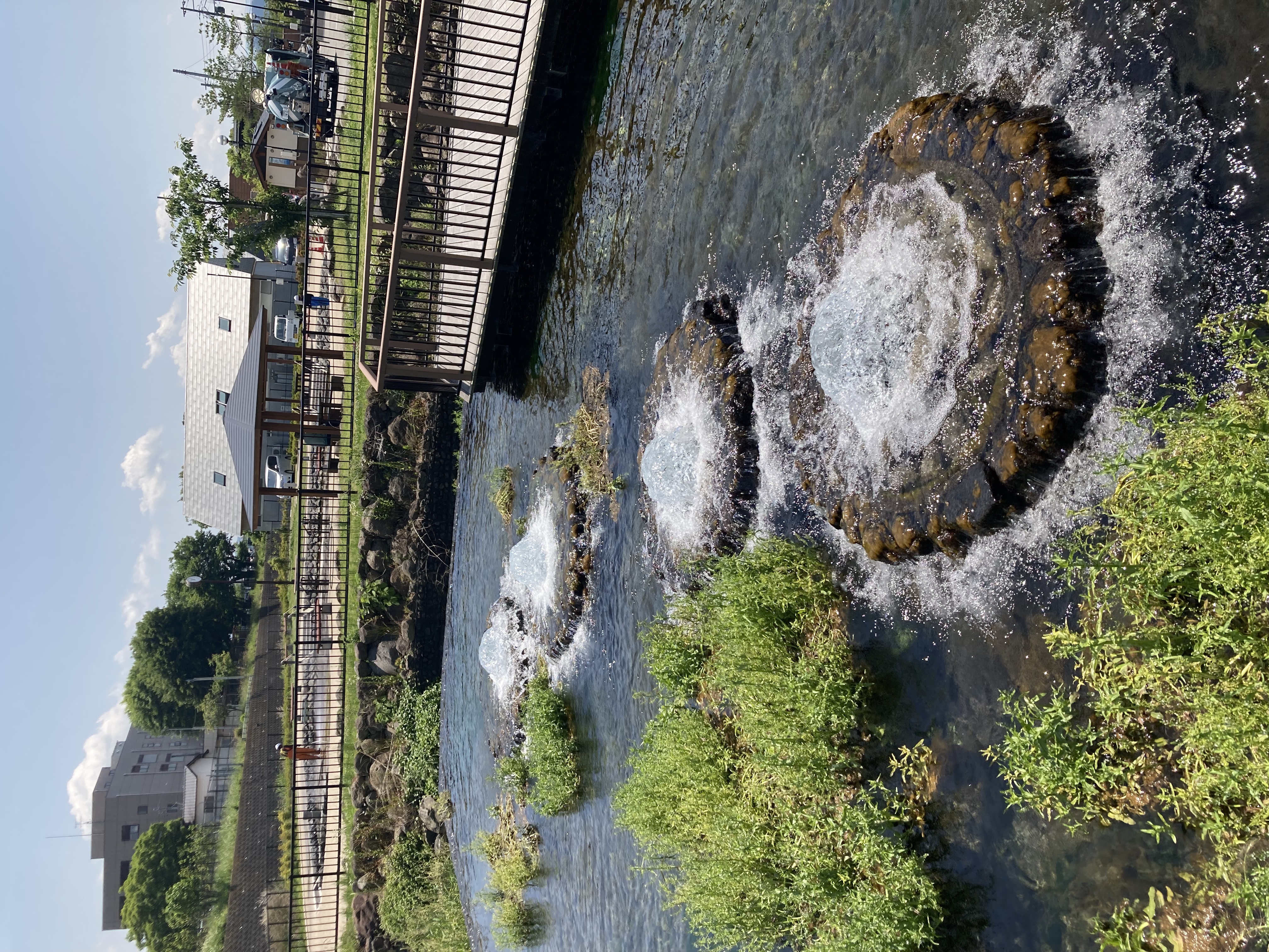 清住緑地（美しい湧水に堪能）