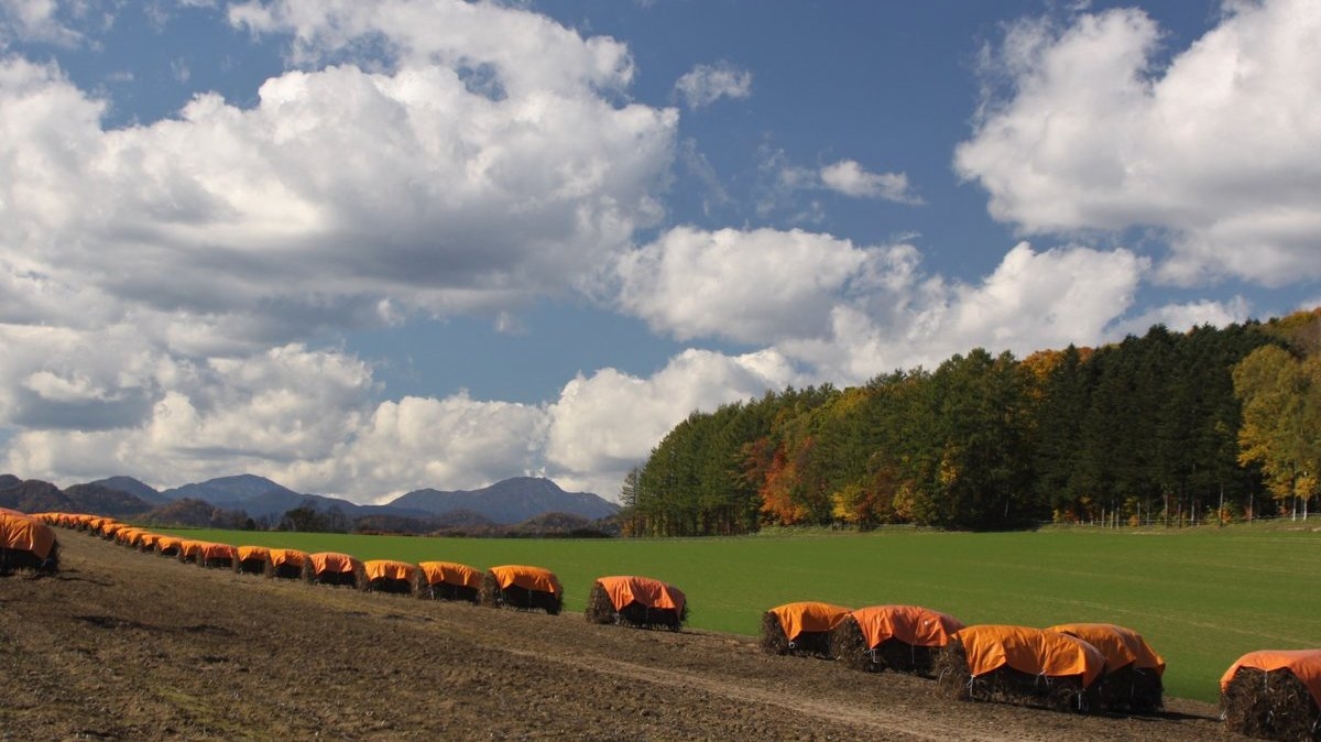 【夕食ビュッフェ★スペシャル】シルバーウィーク限定♪夕食ドリンクインクルーシブ付＜9/19〜21＞