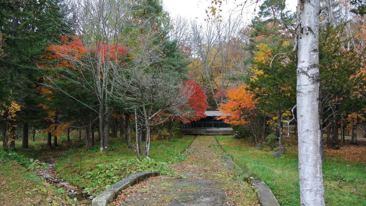 【秋冬SALE】11/15までお得！道産食材の美味しさあふれる和洋70品ビュッフェと美白の湯を満喫♪