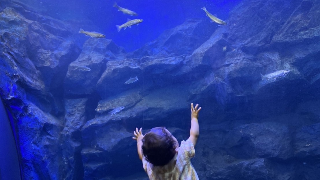 【北の大地の水族館】お子様も興味しんしんの滝つぼの水槽