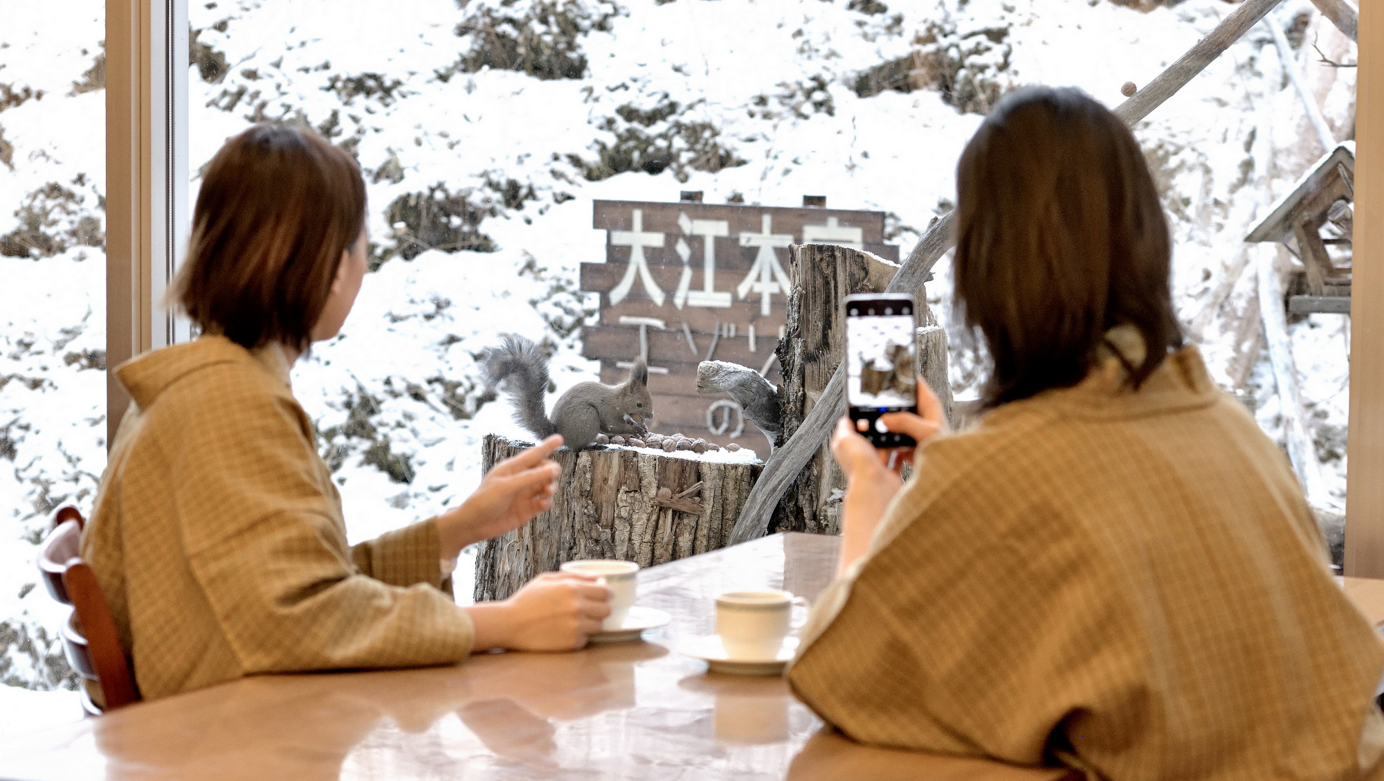 朝食の時間に見られるかも?!