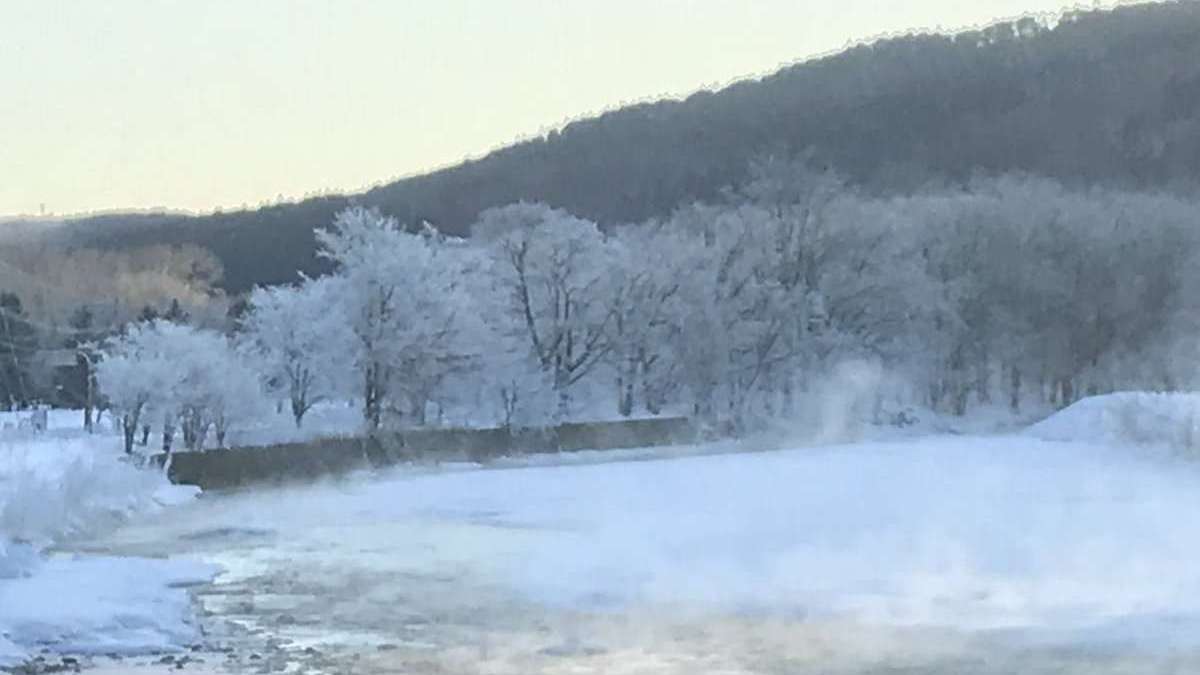 樹氷・霧氷