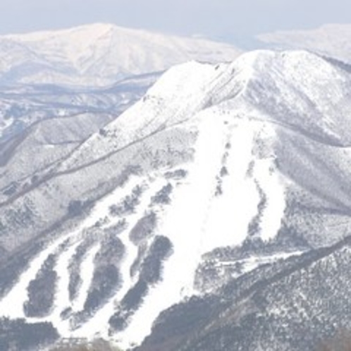 よませ温泉スキー場＆X-JAM高井富士共通リフト券の宿泊者限定割引券があります。