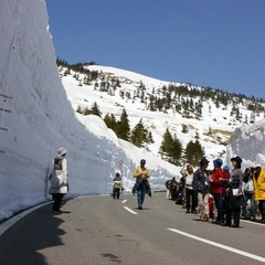 GWにおススメ！志賀草津道路雪の回廊です。