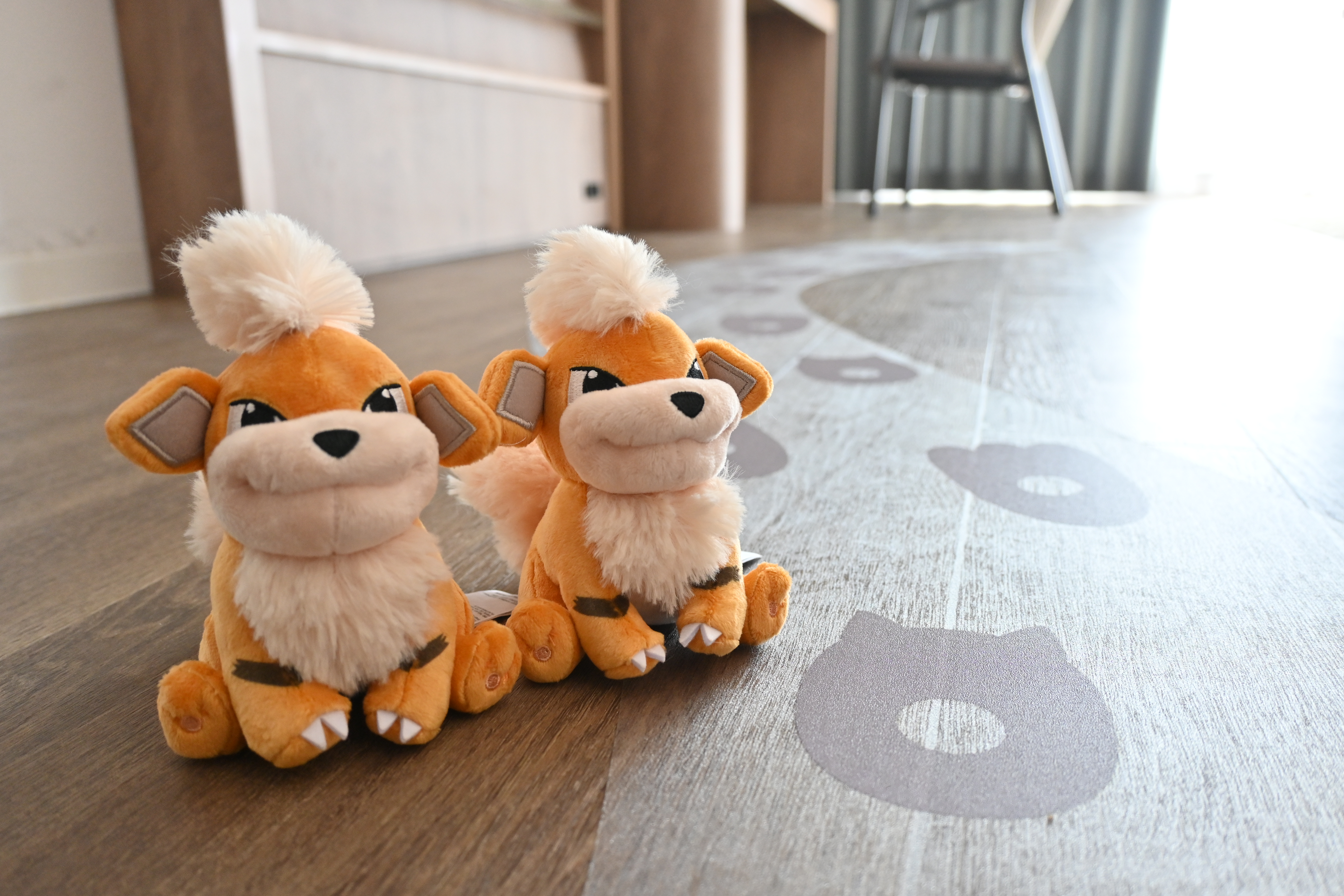 ポケモン「ガーディコラボルーム」デラックスツイン