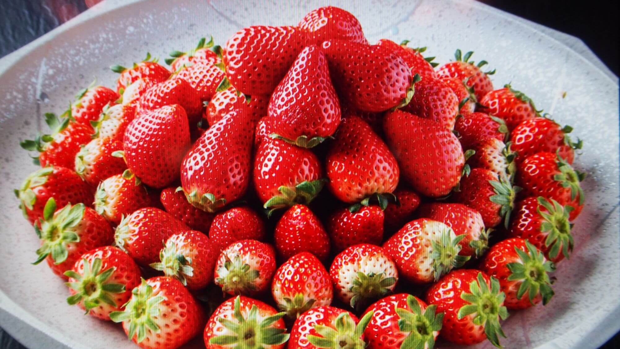 【栃木のいちご山盛特典｜一泊2食付】卒業旅行におすすめ！甘酸っぱいいちご＆女性色浴衣付〇栃木の旬会席