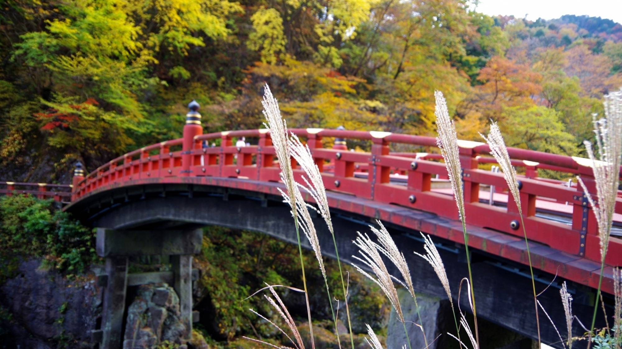 世界遺産「日光の社寺」の玄関ともいえる美しい橋「神橋」。木造朱塗りの橋は、紅葉の中でもよく映えます。