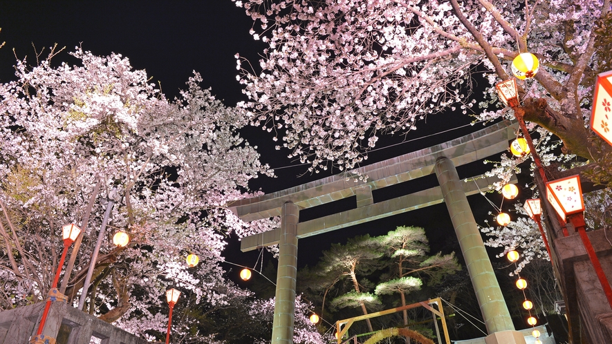 鬼怒川護国神社・温泉神社境内の桜がライトアップ。幻想的な夜桜をお楽しみくださいませ!