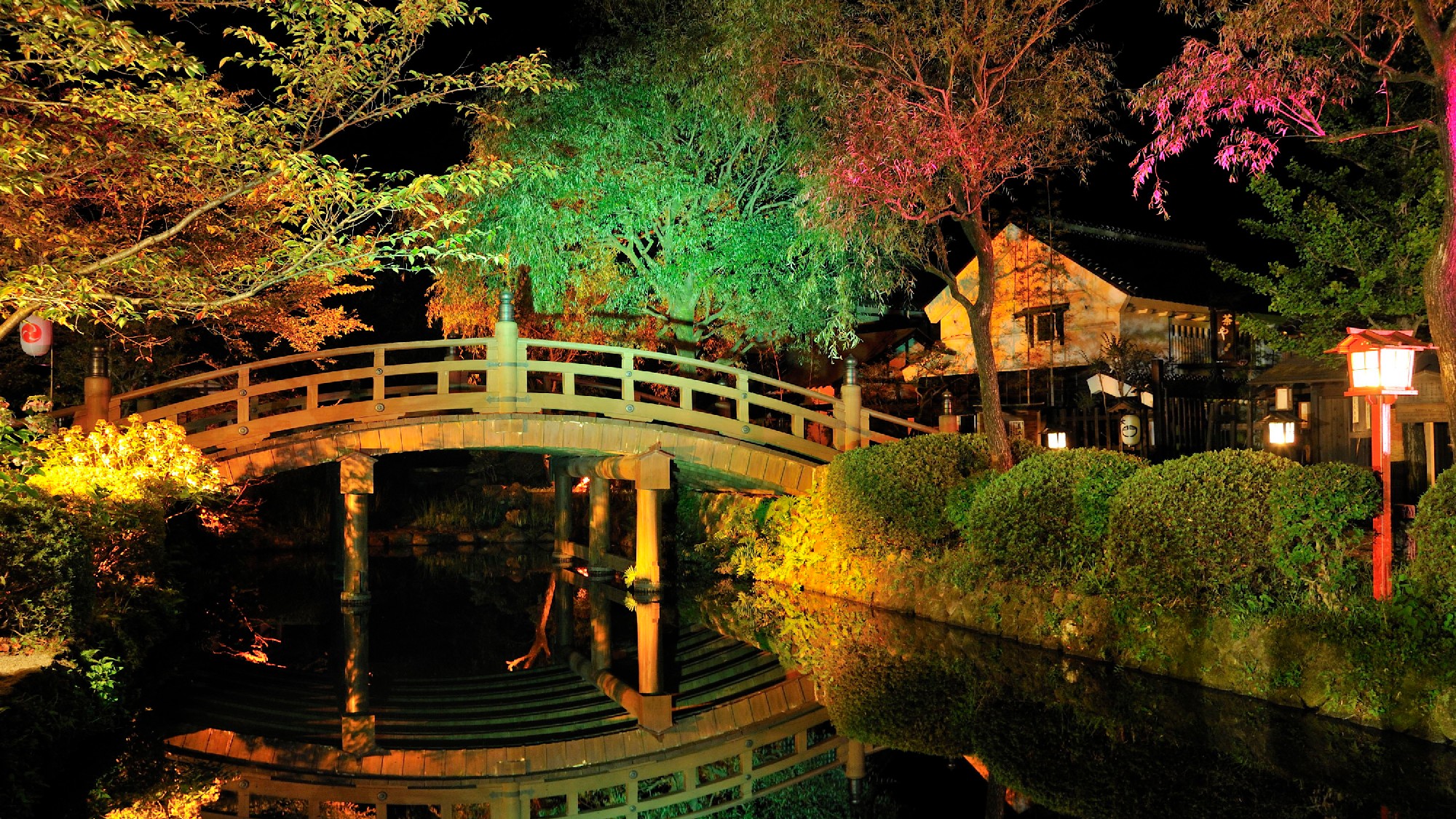 【Edo Wonder Night】美しい紅葉を背景に、夜の江戸の街並みをお楽しみください。