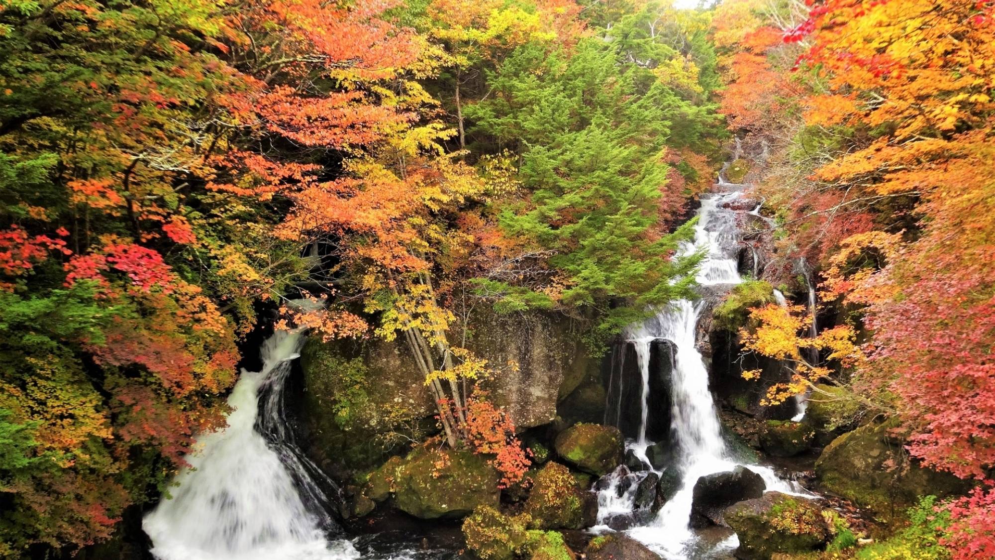 奥日光三名瀑の１つとされる竜頭の滝。勢いよく流れる様子は紅葉に彩られ、圧巻の景色です。