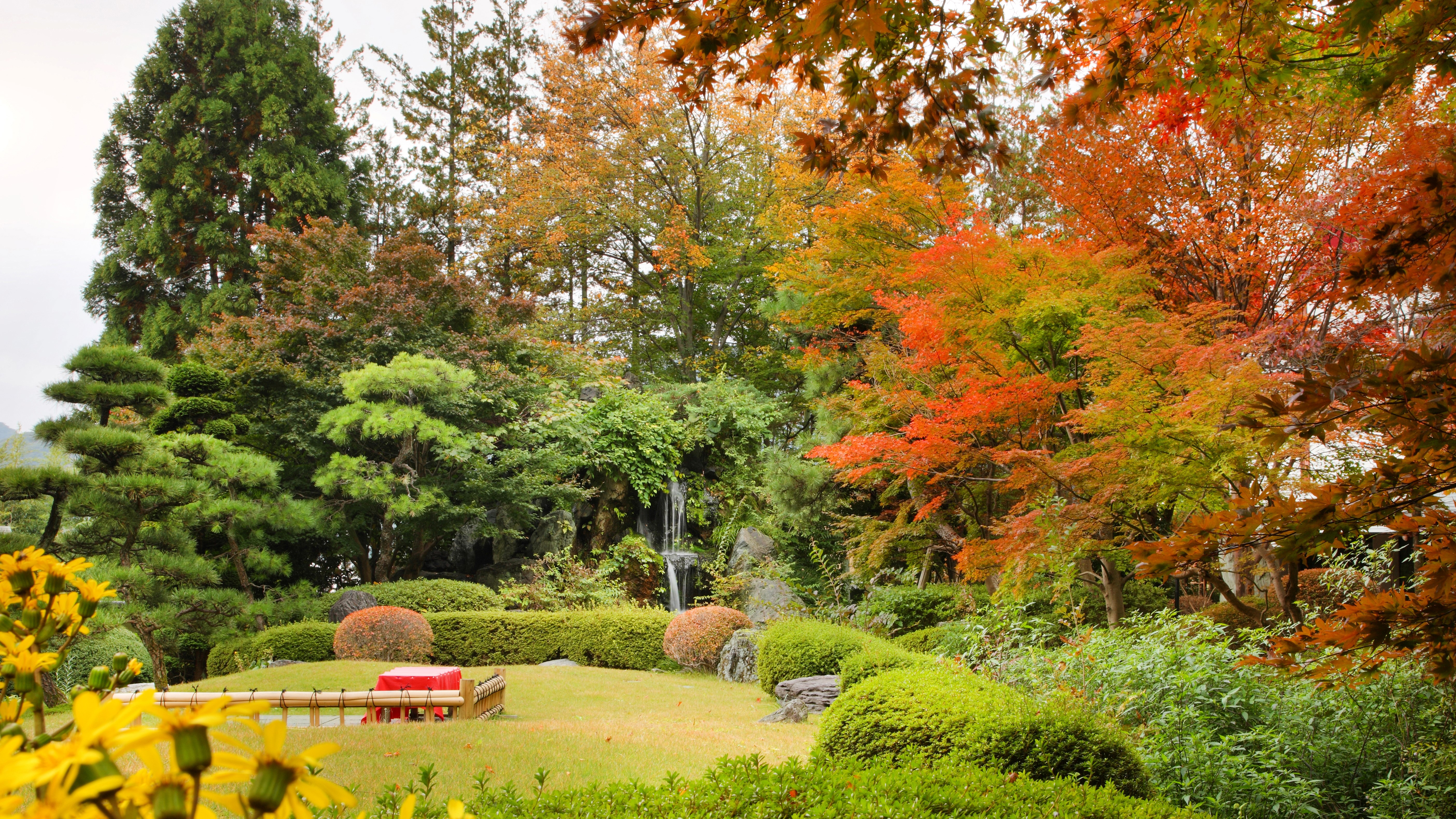 秋の庭園