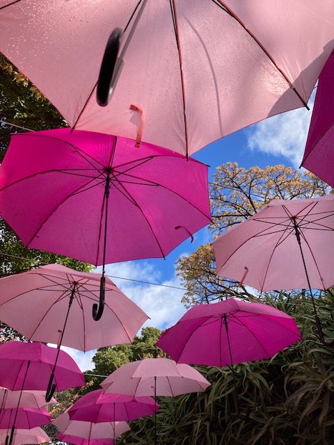 アンブレラスカイ