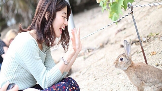 【ひとり旅におすすめ♪】2026年4月〜『うさぎ島』で気ままなひとり旅プラン
