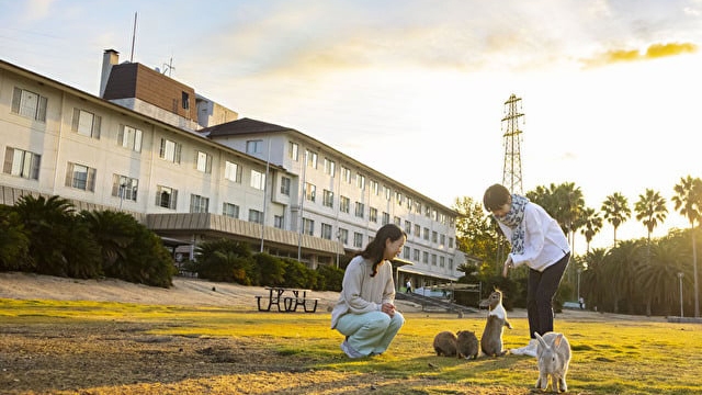【2/1〜3/13のご宿泊限定でお得♪】『うさぎ島』冬の島ごもり連泊プラン(2泊)
