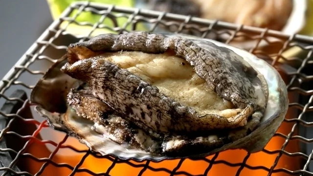 【うさぎの島でプチ贅沢♪】2025年12月〜瀬戸内産！アワビの踊り焼き付きビュッフェプラン