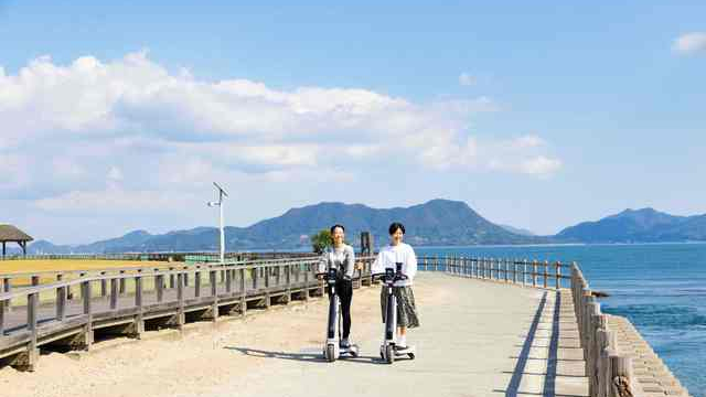 大 久野 島 飛行機 販売 パック