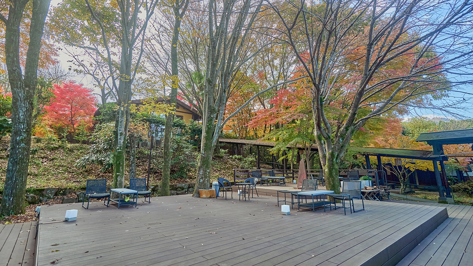 【紅葉の頃】中庭のテラス