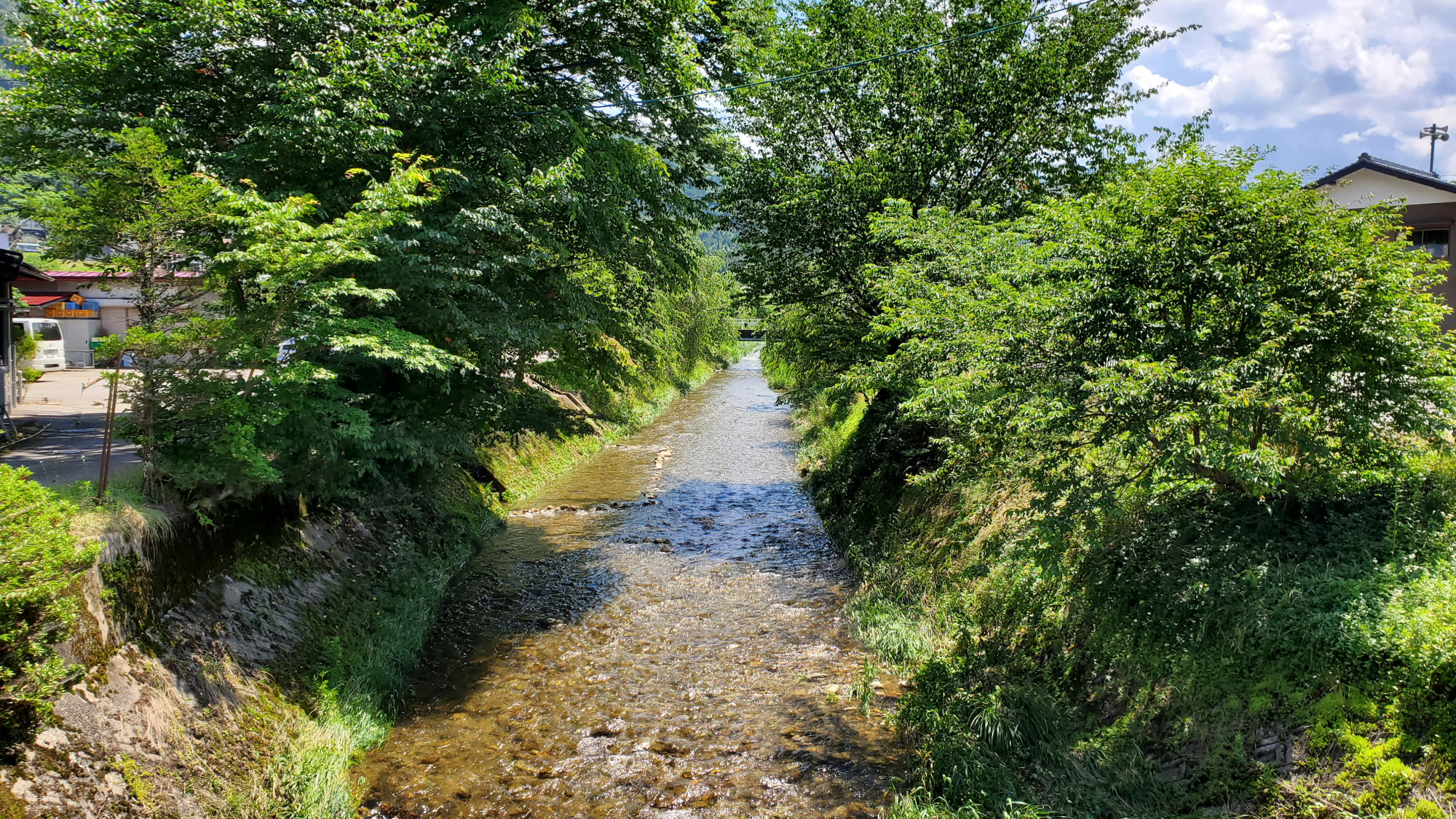 当館の前を流れる宮川は、透明度が高い水がながれています。