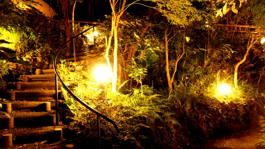 ◆夜の森