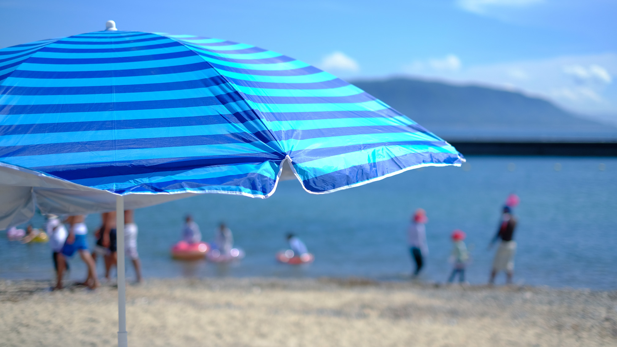 【夏季限定】日間賀島を自由に満喫！素泊まりプラン 