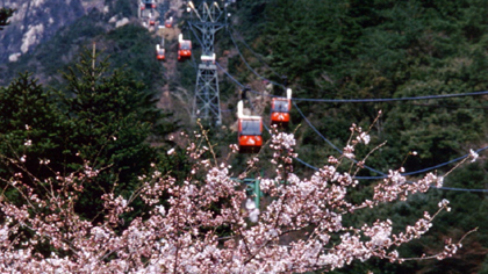 選べる特典付◆山波膳/朝食なし◆料理長お任せのお手軽御膳！量も控えめで女性やシニアにおススメ！