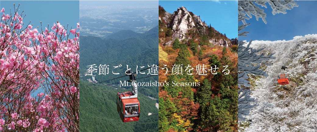 ◆月御膳/朝食なし◆旬の食材とお任せ三重の特産1品をセットにしたお得な御膳！