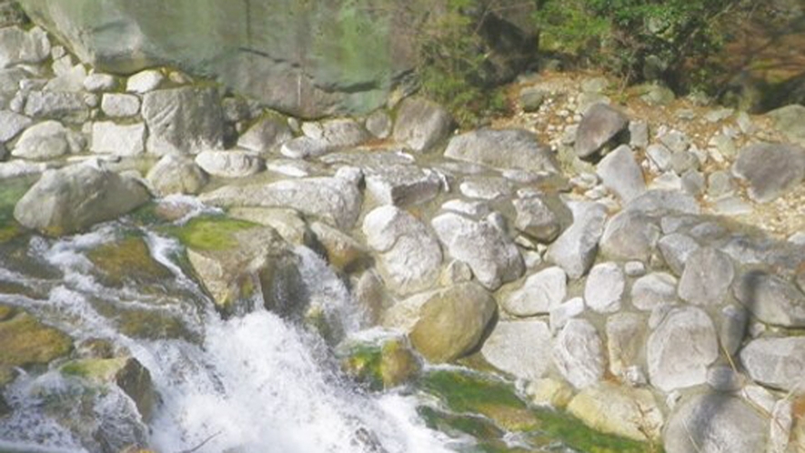 【大石公園】日本一大きいと言われている御影石がございます