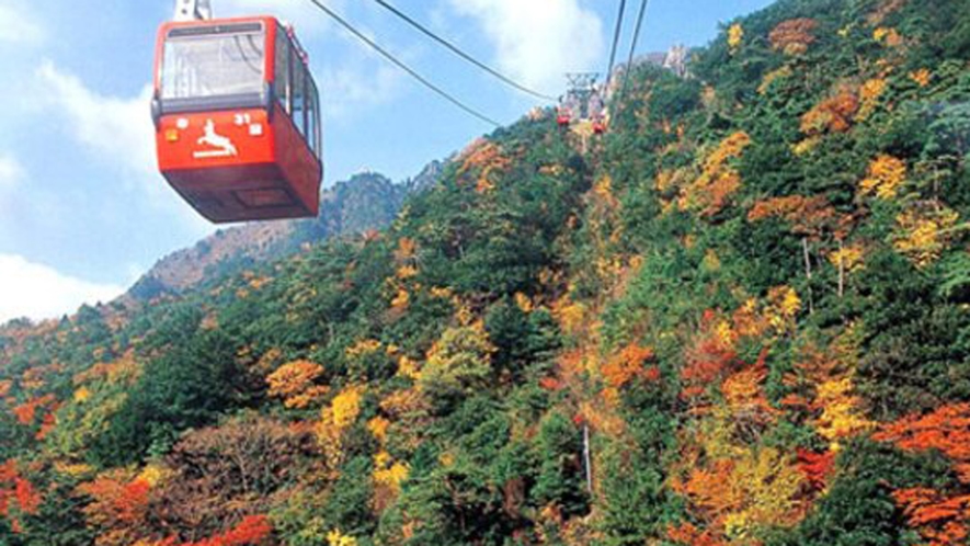 【秋の御在所岳】紅葉の名所として有名。美しく色づいた山並みをご覧いただけます