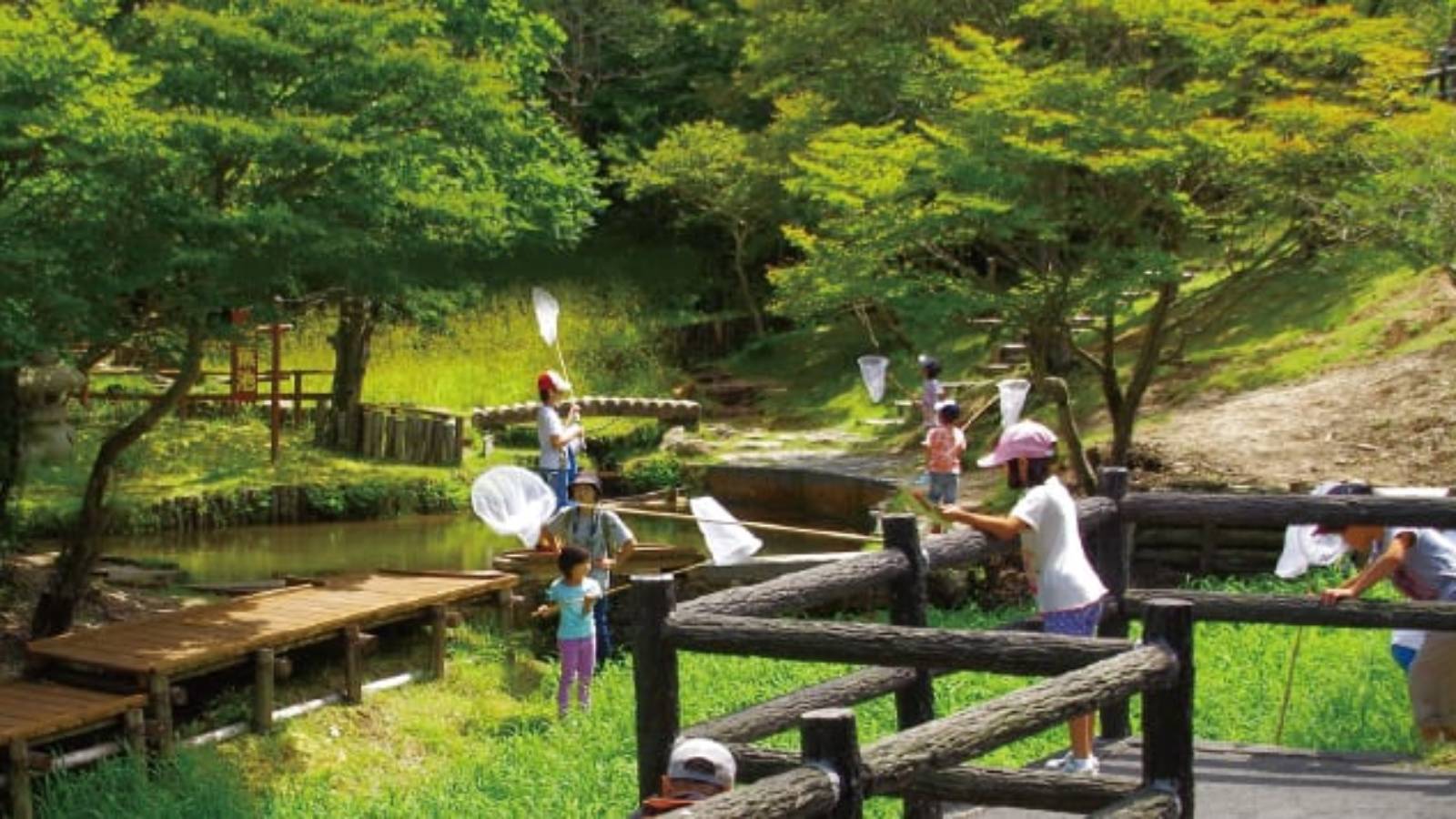 夏の御在所岳