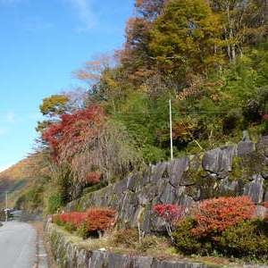 【楽天トラベル限定】秋の渓谷さんぽと炭酸泉でほっこりプラン
