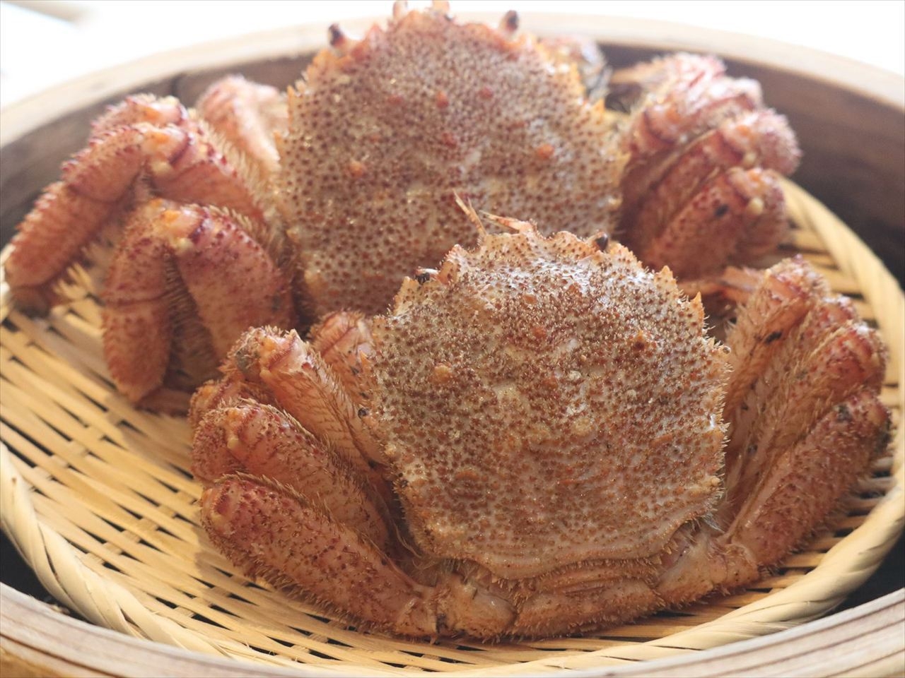 【アネックスプラン】ご夕食はたらば蟹・ずわい蟹二大蟹パック♪2食付きプラン