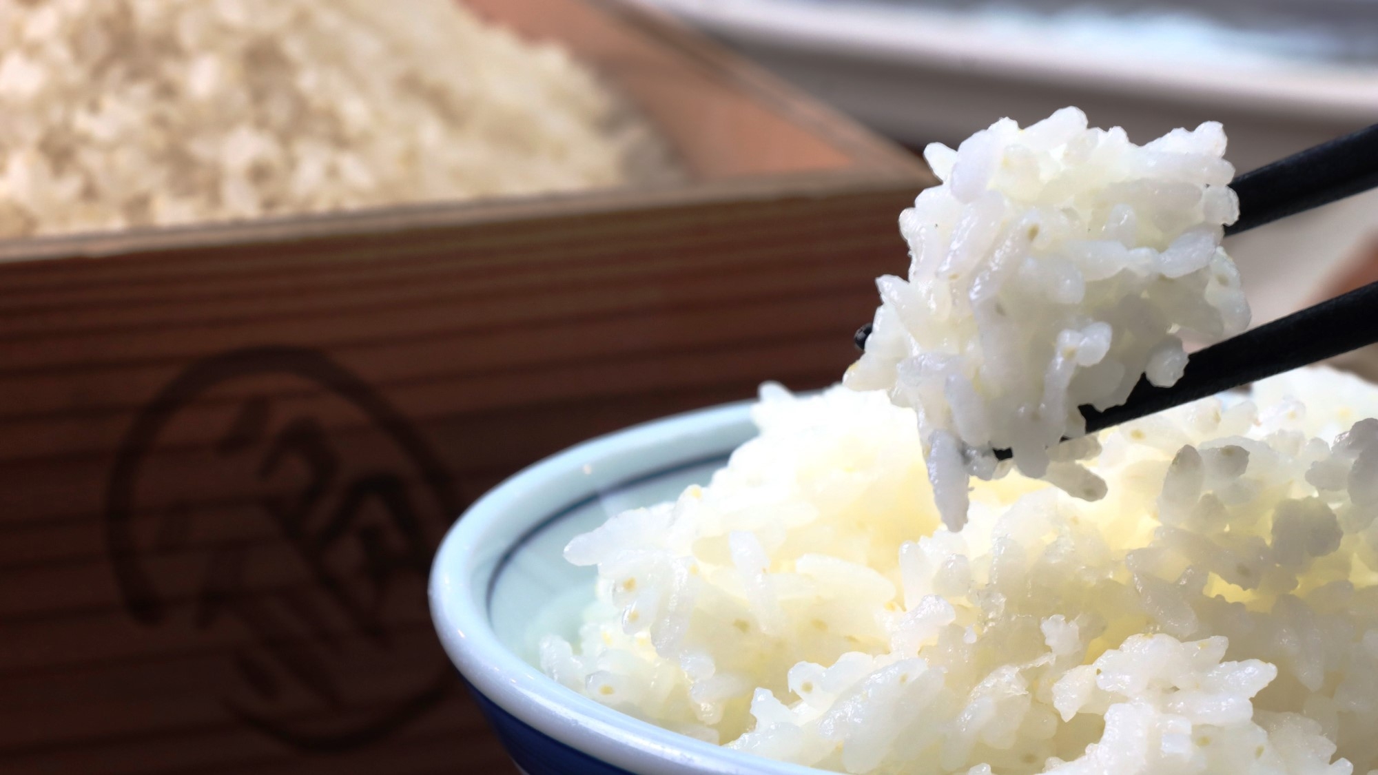 2026年5月〜【1泊2食付】　自家製食材、地元食材を使った料理に舌鼓♪【グリーンシーズン】