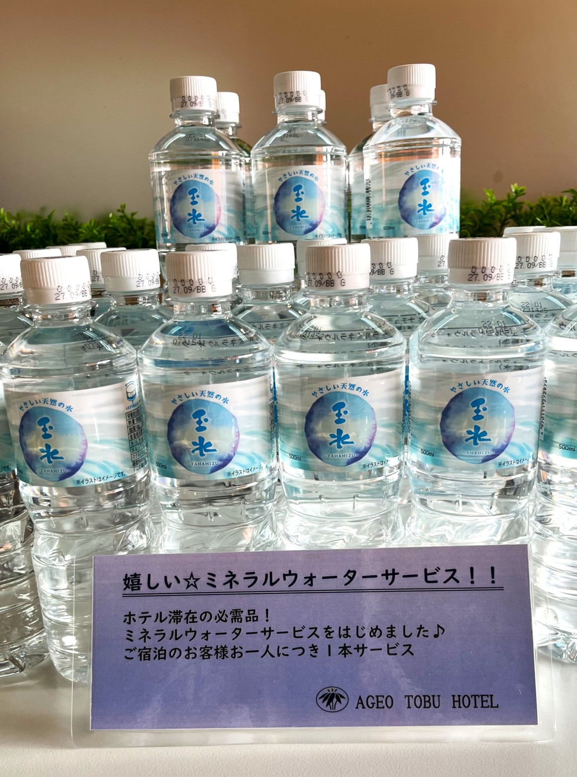 【お得なお年玉プラン】素泊り★QUOカード/飲物＆おつまみ付