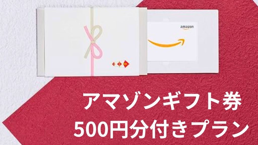 【食事なし・Amazon500円ギフト券付き】ビジネス応援プラン