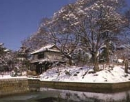 湖北ホテル - 写真 156