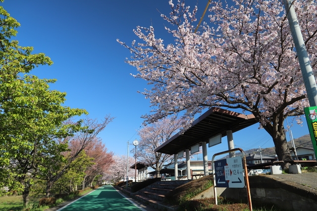 【朝食付き】らくらく片道レンタサイクルプラン♪復路タクシーチケット付き＜筑波山コース（約20㎞）＞