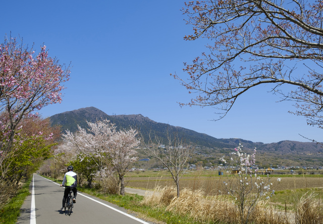 湖北ホテル - 写真 153