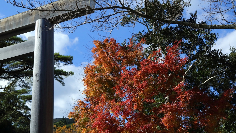 【直前割◆11月〜12月限定】ご夕食はのんびり創作会席 風月御膳をお部屋で/鳥羽の海景と温泉を楽しむ