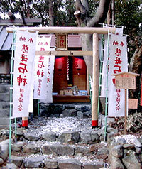 伊勢神宮のお膝元 鳥羽 胡蝶蘭 - 写真 119