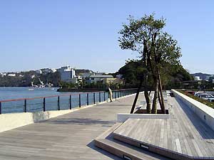 カモメの散歩道 