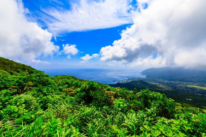 【レンタカー確約！朝食付きプラン】レンタカー付きで安心！八丈島で快適ドライブ旅行